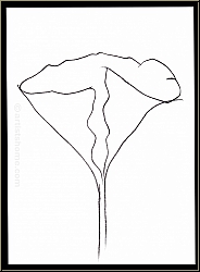 Ellsworth Kelly: 'Lotus' Lotusblte 1982, Original-Lithographie, Hommage  Aim et Marguerite Maeght - Werke