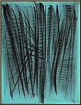 Hans Hartung: 