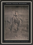 Paul Wunderlich: 'Fossilierte Ananas', Lithographie 1972, signiert, Archologie - Bilder | Originale | Drucke